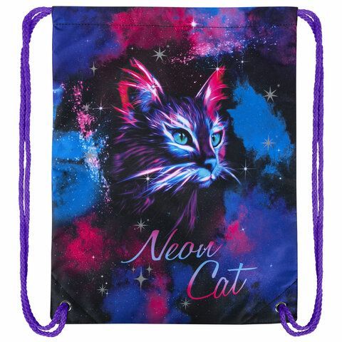 Мешок для обуви BRAUBERG PREMIUM, карман, подкладка, светоотражайка, 43х33 см, &quot;Neon cat&quot;, 271621