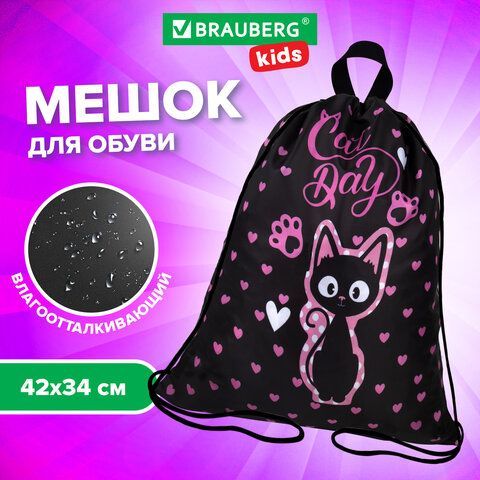 Мешок для обуви BRAUBERG KIDS, с петлей, 42х34 см, &quot;Amazed cat&quot;, 271629