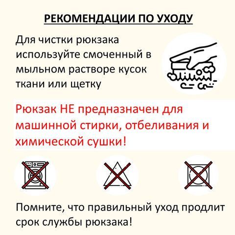 Рюкзак BRAUBERG POSITIVE универсальный, карман-антивор, "Ducks", 42х28х14 см, 271681