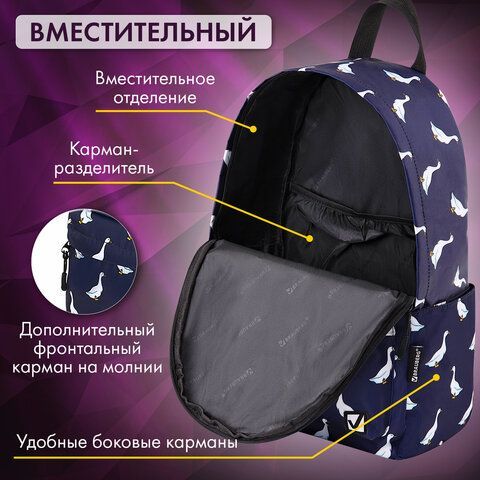 Рюкзак BRAUBERG POSITIVE универсальный, карман-антивор, "Ducks", 42х28х14 см, 271681