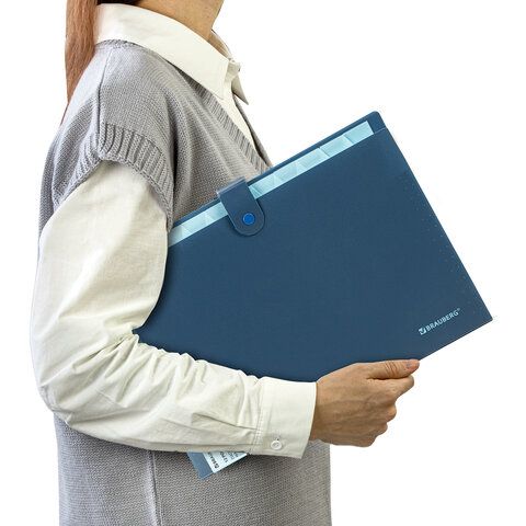 Папка-органайзер на кнопке 12 отделений, BRAUBERG &quot;Extra&quot;, А4, синяя с голубым, 271933