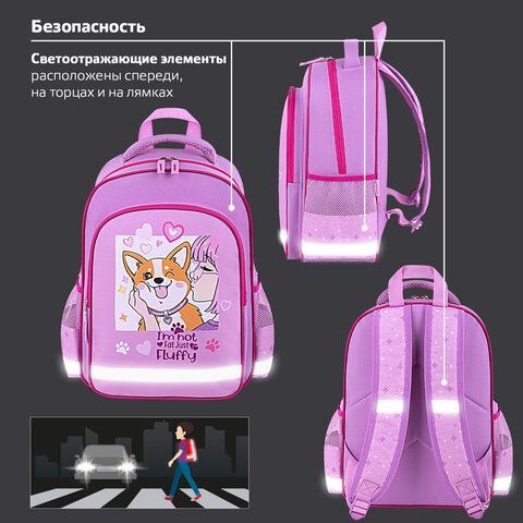 Рюкзак ПИФАГОР SCHOOL, 1 отделение, 3 кармана, &quot;Fluffy akita&quot;, 38x28х14 см, 272084