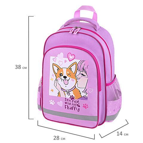 Рюкзак ПИФАГОР SCHOOL, 1 отделение, 3 кармана, &quot;Fluffy akita&quot;, 38x28х14 см, 272084