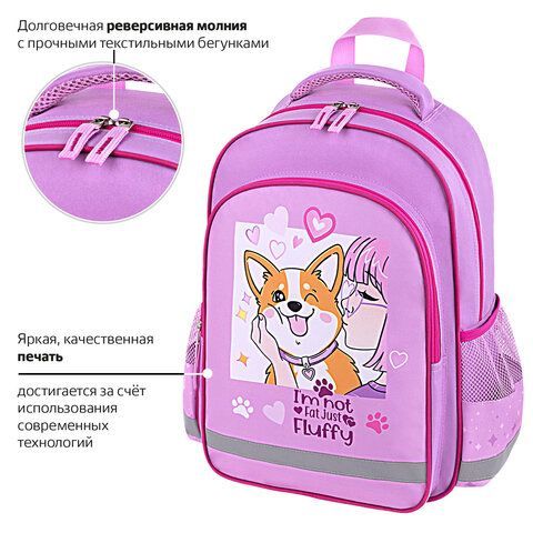 Рюкзак ПИФАГОР SCHOOL, 1 отделение, 3 кармана, &quot;Fluffy akita&quot;, 38x28х14 см, 272084