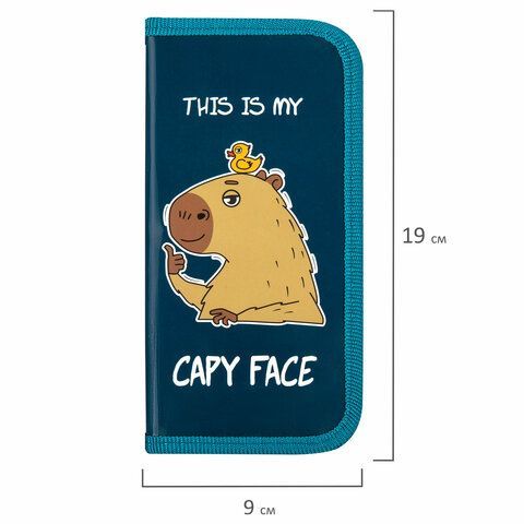 Пенал ПИФАГОР, 1 отделение, ламинированный картон, 19х9 см, &quot;Capy face&quot;, 272245