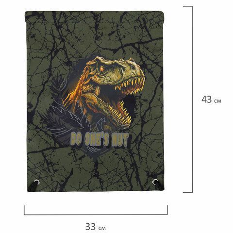 Мешок для обуви BRAUBERG PREMIUM, карман, подклад., светоотр., 43х33 см, Dino attack, 272424