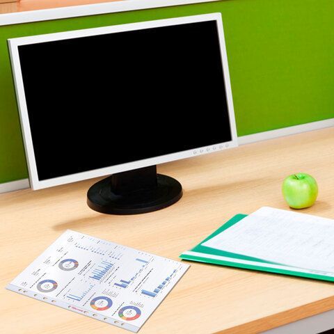 Папки-файлы перфорированные А4 BRAUBERG &quot;PREMIUM&quot;, КОМПЛЕКТ 100 шт., матовые, 35 мкм, 273005