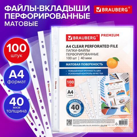 Папки-файлы перфорированные А4 BRAUBERG &quot;PREMIUM&quot;, КОМПЛЕКТ 100 шт., матовые, 40 мкм, 273008