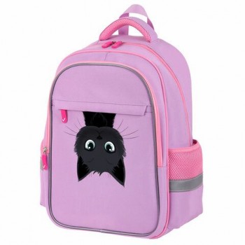 Рюкзак BRAUBERG FAVOUR, 2 отделения, 3 кармана, Hide and seek, 40х29х15 см, 273122