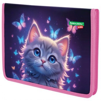 Папка для тетрадей BRAUBERG KIDS А4, 1 отделение, пластик, молния вокруг, Curious cat, 273336