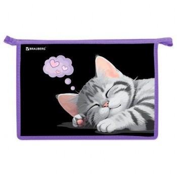 Папка для труда на молнии BRAUBERG А4, 2 отделения, органайзер, Sleeping kitten, 273401