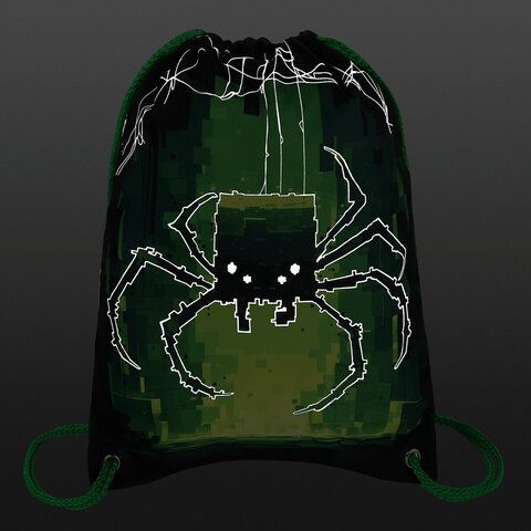 Мешок для обуви BRAUBERG PREMIUM, карман, подкладка, светоотражайка, 43х33 см, Digital spider, 273444