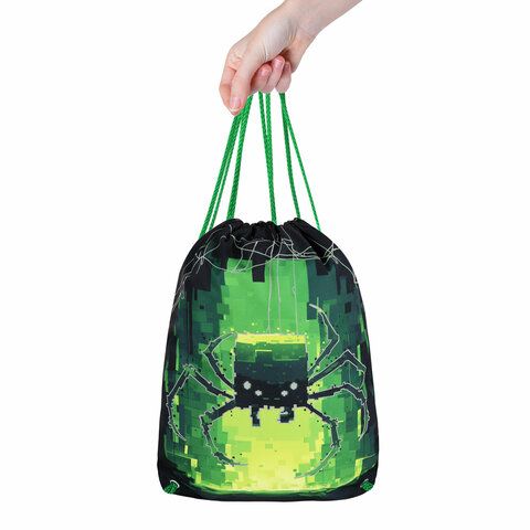 Мешок для обуви BRAUBERG PREMIUM, карман, подкладка, светоотражайка, 43х33 см, Digital spider, 273444