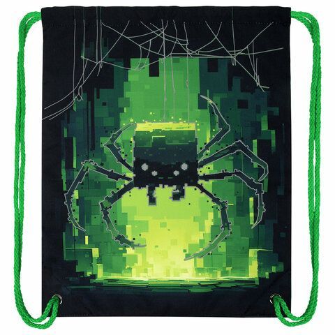 Мешок для обуви BRAUBERG PREMIUM, карман, подкладка, светоотражайка, 43х33 см, Digital spider, 273444