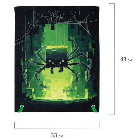 Мешок для обуви BRAUBERG PREMIUM, карман, подкладка, светоотражайка, 43х33 см, Digital spider, 273444