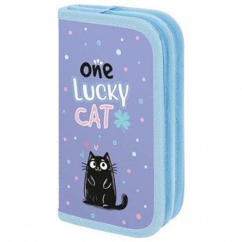 Пенал ПИФАГОР, 2 отделения, ламинированный картон, 19х11 см, Funny cats, 273481