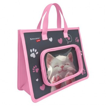 Папка на молнии с ручками BRAUBERG KIDS А4, 1 отделение, доп.карманы, пластик, "Purr cat", 274527