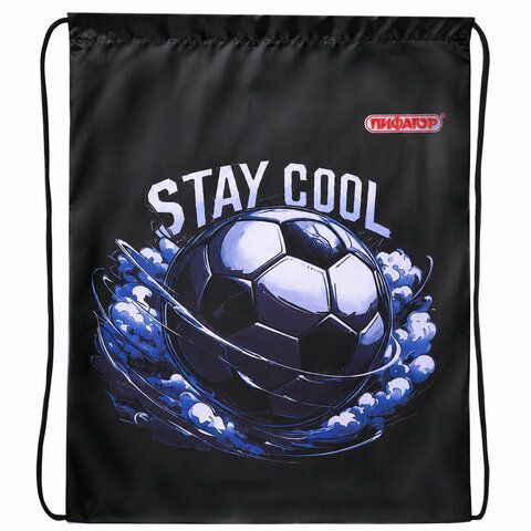 Мешок для обуви ПИФАГОР, 1 отделение, 42х34 см, "Stay cool", 274632