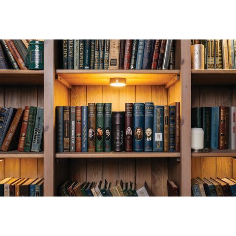 Сейф-книга &quot;Приключения Шерлока Холмса&quot;, 57х130х185 мм, ключевой замок, BRAUBERG, 291056, 43