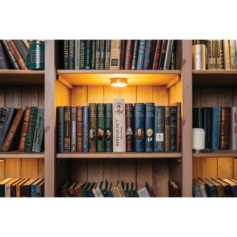 Сейф-книга &quot;ФИНАНСИСТ&quot;, 60х170х240 мм, ключевой замок, BRAUBERG, 291057