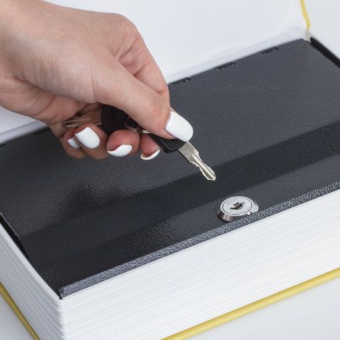 Сейф-книга &quot;12 стульев&quot;, 60х170х240 мм, ключевой замок, BRAUBERG, 291058