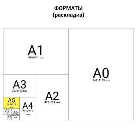 Тетрадь-блокнот 80 л., А5, 160х207 мм, BRAUBERG, клетка, гребень, обложка пластиковая, 1 разделитель, "Tag", 401800