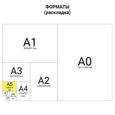 Тетрадь А5, 48 л., BRAUBERG 5 шт., гребень, клетка, обложка картон, ОДНОТОННАЯ, 401871