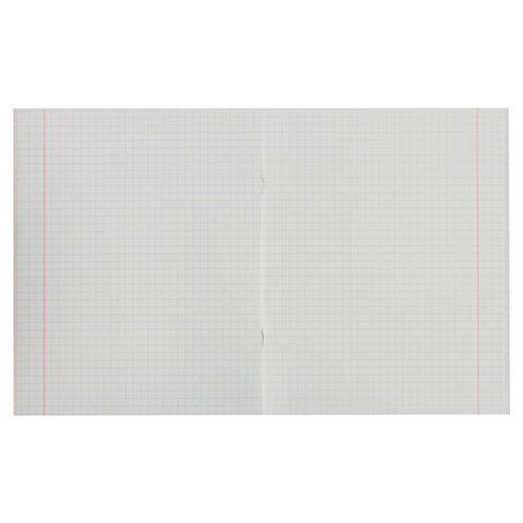 Тетрадь А5, 48 л., STAFF 10 шт., скоба, клетка, офсет №2 ЭКОНОМ, обложка картон, &quot;АБСОЛЮТ&quot;, 402784