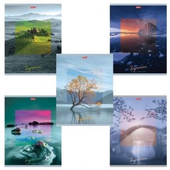 Тетрадь А5, 80 л., HATBER 7 шт., скоба, клетка, обложка картон, "IMPRESSIONS" (5 видов), 80Т5В1, T242148