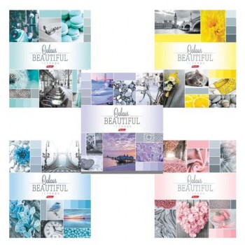 Тетрадь А5, 96 л., HATBER 6 шт., скоба, клетка, обложка картон, "BEAUTIFUL COLOURE" (5 видов), 96Т5В1, T241349