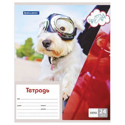 Тетрадь 24 л. BRAUBERG 18 шт., клетка, обложка картон, MY BEST FRIEND, 403007