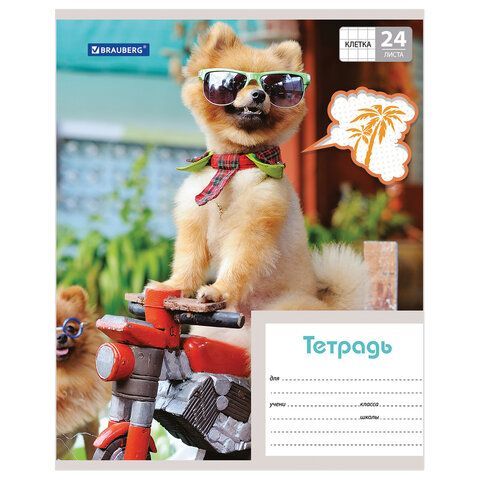 Тетрадь 24 л. BRAUBERG 18 шт., клетка, обложка картон, MY BEST FRIEND, 403007