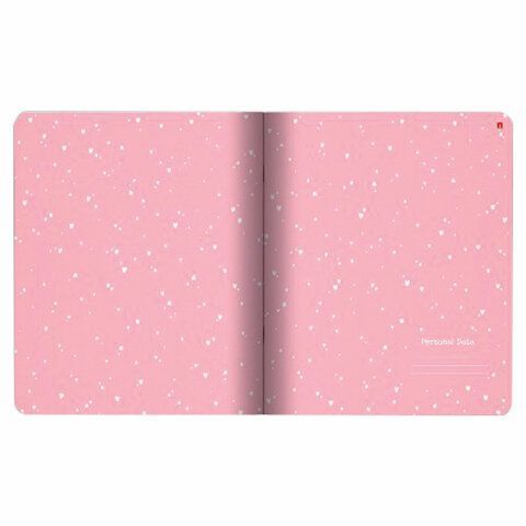 Тетрадь А5 48 л. АЛЬТ 10 шт. скоба, клетка, Soft Touch, фольга, "ЗЕФИРНОЕ НАСТРОЕНИЕ", 7-48-569