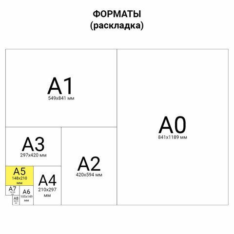 Сменный блок для тетради на кольцах А5 120 л., BRAUBERG, ПОВЫШЕННОЙ ПЛОТНОСТИ, белый, 403638