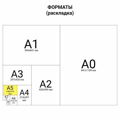 Тетрадь 40 л. в клетку обложка SoftTouch, бежевая бумага 70 г/м2, сшивка, А5 (147х210 мм), ENJOY THE MOMENT, BRAUBERG 2 шт., 403766