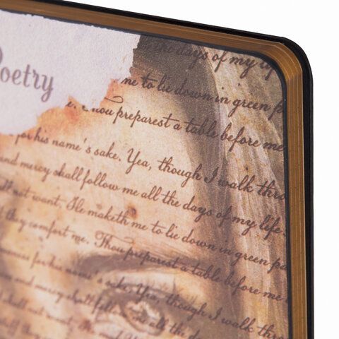 Тетрадь А5 (168х208 мм), 80 л., сшивка, клетка, под кожу, BRAUBERG VISTA, &quot;Poetry&quot;, 403921