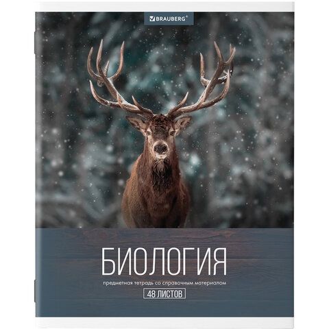 Тетради предметные, КОМПЛЕКТ 10 ПРЕДМЕТОВ, &quot;КЛАССИКА XXI&quot;, 48 л., обложка картон, BRAUBERG, 404025