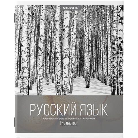 Тетради предметные, КОМПЛЕКТ 10 ПРЕДМЕТОВ, &quot;КЛАССИКА XXI&quot;, 48 л., обложка картон, BRAUBERG, 404025