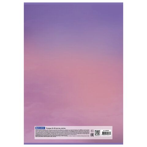 Тетрадь А4, 80 л., BRAUBERG, скоба, клетка, обложка картон, &quot;City&quot;, 404045