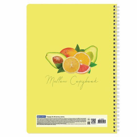 Тетрадь А4, 80 л., BRAUBERG, гребень, клетка, обложка картон, &quot;Фрукты&quot;, 404051