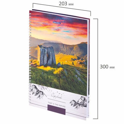 Тетрадь А4, 80 л., BRAUBERG, гребень, клетка, обложка твердая, &quot;Nature&quot;, 404054