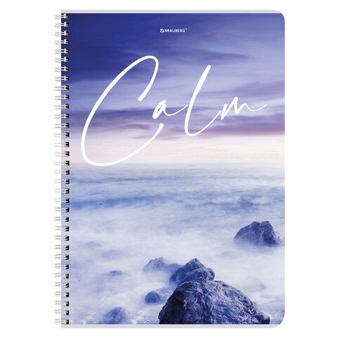 Тетрадь А4, 96 л., BRAUBERG, гребень, клетка, обложка картон, &quot;Calm&quot;, 404059