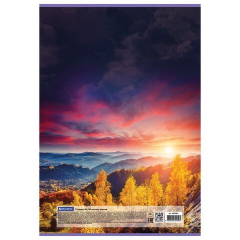 Тетрадь А4, 96 л., BRAUBERG, скоба, клетка, обложка картон, &quot;Journey&quot;, 404064