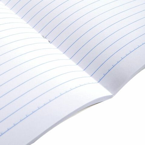 Тетрадь А4, 96 л., BRAUBERG, скоба, линия, обложка картон, &quot;Природа&quot;, 404067