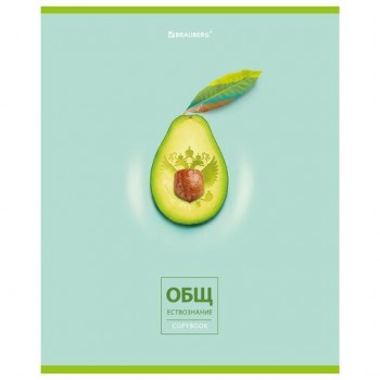 Тетрадь предметная "AVOCADO" 48 л., глянцевый лак, ОБЩЕСТВОЗНАНИЕ, клетка, BRAUBERG 10 шт., 404274