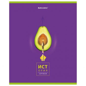 Тетрадь предметная "AVOCADO" 48 л., глянцевый лак, ИСТОРИЯ, клетка, BRAUBERG 10 шт., 404280