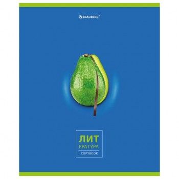 Тетрадь предметная "AVOCADO" 48 л., глянцевый лак, ЛИТЕРАТУРА, линия, подсказ, BRAUBERG 10 шт., 404281