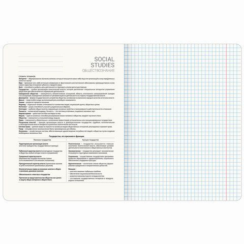 Тетрадь предметная &quot;GRADIENT&quot; 48 л., матовая ламинация, лак, ОБЩЕСТВОЗНАНИЕ, клетка, BRAUBERG 10 шт., 404286