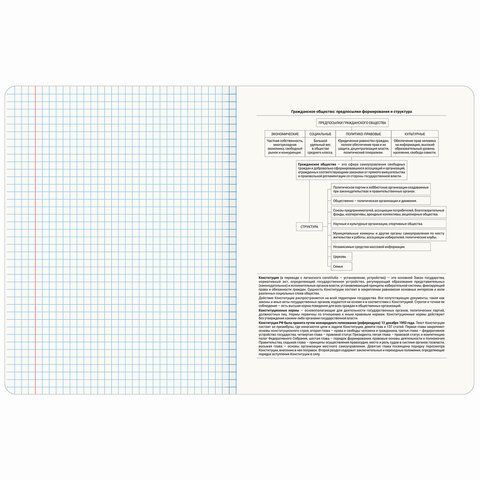 Тетрадь предметная &quot;GRADIENT&quot; 48 л., матовая ламинация, лак, ОБЩЕСТВОЗНАНИЕ, клетка, BRAUBERG 10 шт., 404286