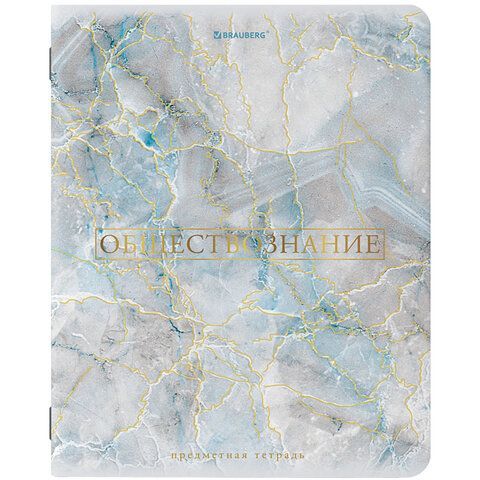 Тетрадь предметная &quot;PASTEL&quot; 48 л., SoftTouch, фольга, ОБЩЕСТВОЗНАНИЕ, клетка, BRAUBERG 10 шт., 404310